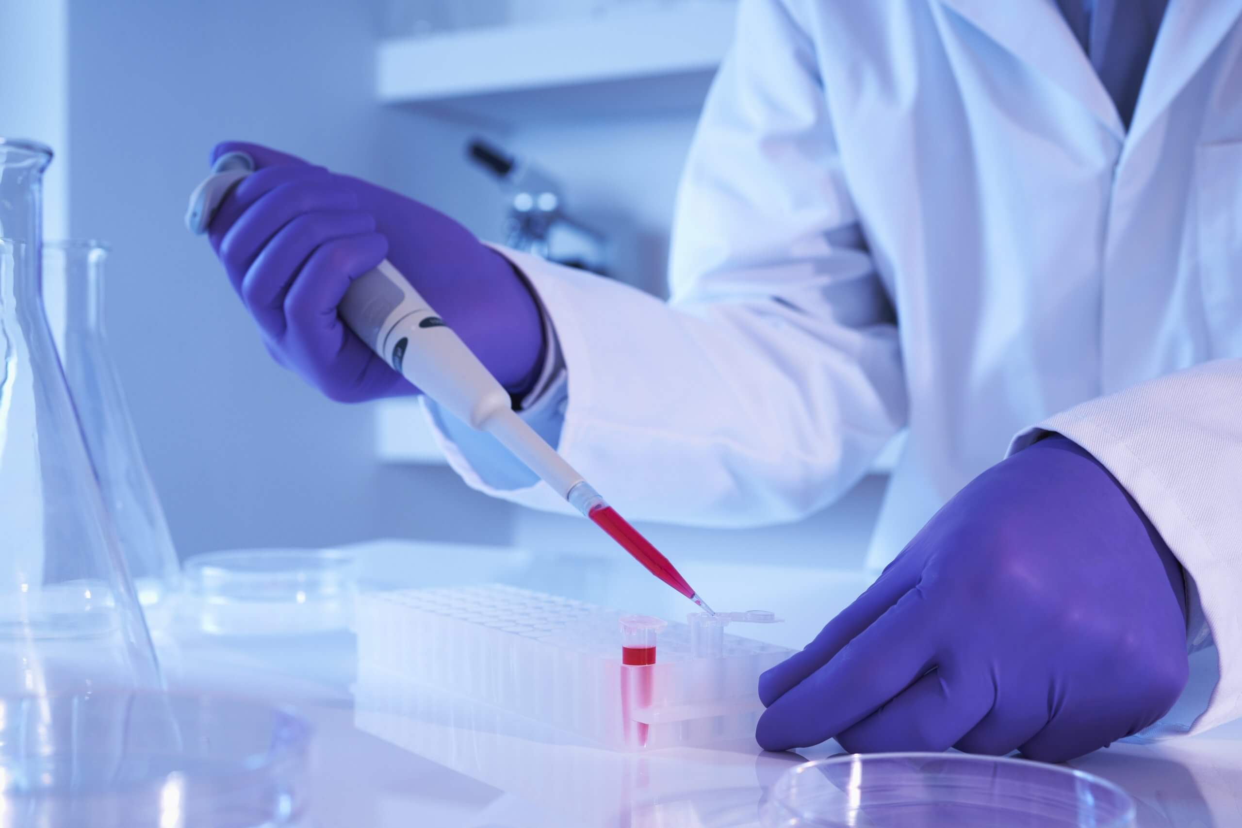 Scientist pipettes red liquid in laboratory